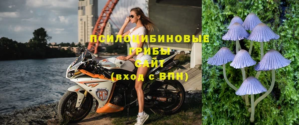 герыч Бронницы