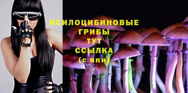 трава Бугульма