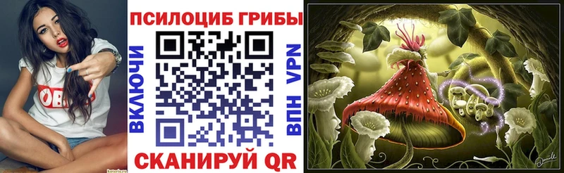 Псилоцибиновые грибы GOLDEN TEACHER где найти наркотики мега онион Петушки