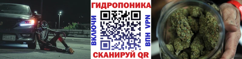 Бошки Шишки конопля  Петушки 
